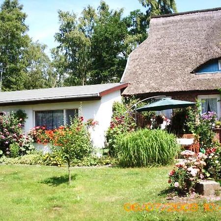 Ferienwohnung "Kleine Deichperle" Prerow Exterior photo